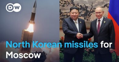Ukraine suspects North Korean missile used in deadly strike | DW News