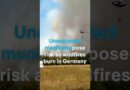 Unexploded munitions hamper Germany wildfire response | DW News