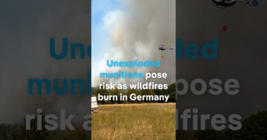 Unexploded munitions hamper Germany wildfire response | DW News