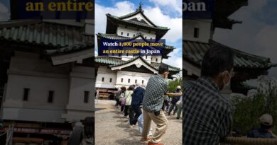 Watch 1,800 people move an entire castle in Japan