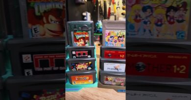 What if your Steam Deck took Nintendo cartridges? #TITW