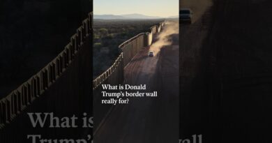What is Donald Trump’s border wall really for?