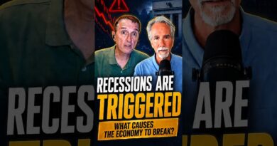 What Really Causes Recessions?