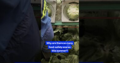 Why does it feel like everything is being recalled this summer? #foodsafety  #foodrecalls