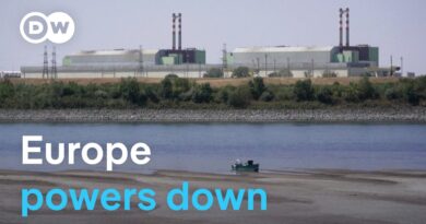 Why Europe’s rivers are becoming an energy problem | DW News