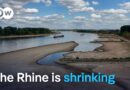 Why low Rhine water levels are a growing risk for Germany | DW News