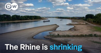 Why low Rhine water levels are a growing risk for Germany | DW News