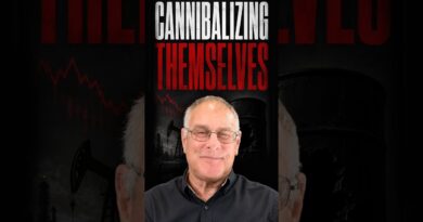 Why Oil Companies Are Cannibalising Themselves