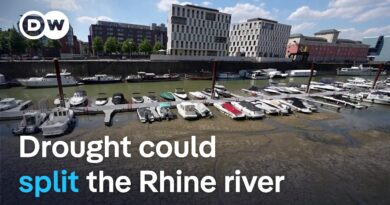 Why some cargo ships can no longer navigate Europe’s busiest trade route | DW News