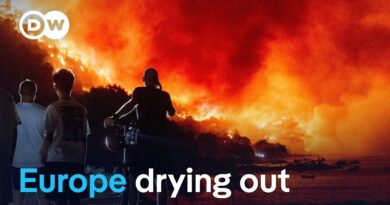 Why wildfires are spreading beyond Europe’s traditional fire zones | DW News