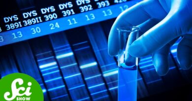 Why You Should Get Your DNA Sequenced After You Die