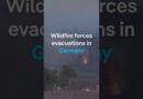 Wildfire forces evacuations in Germany’s Eifel region | DW News