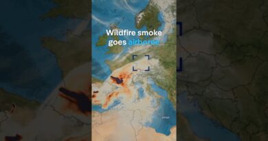 Wildfires make climate change worse | DW News