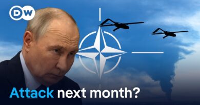 WSJ: Russia could target a NATO state within weeks | DW News