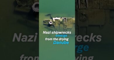 WWII Nazi-era warships emerge as Danube dries up | DW News