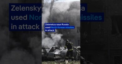 Zelenskyy says Russia used North Korean missiles in attack | DW News