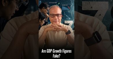 Are GDP Growth Figures Fake?