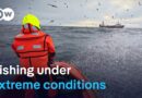 Backbreaking work: Deep-sea fishing in the Arctic Ocean | DW Documentary