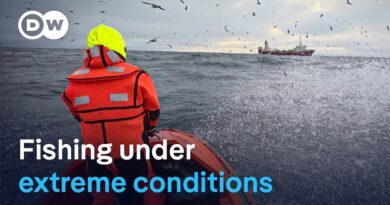 Backbreaking work: Deep-sea fishing in the Arctic Ocean | DW Documentary
