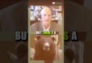 Bitcoin Needs to Prove Itself Before Year-End!