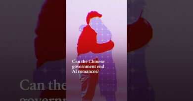 Can the Chinese government end AI romances? | The Economist
