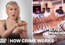How Illegal Wildlife Trafficking Actually Works | How Crime Works | Insider