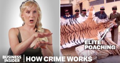 How Illegal Wildlife Trafficking Actually Works | How Crime Works | Insider