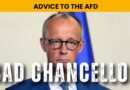Merz Failed Platform of War and Deindustrialization