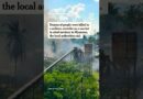 Myanmar Airstrike on Market Kills Dozens