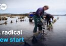 Off to Scotland – Happiness, solitude and oysters | DW Documentary