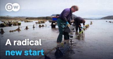 Off to Scotland – Happiness, solitude and oysters | DW Documentary