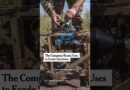 Russia Uses This Company to Evade War Sanctions