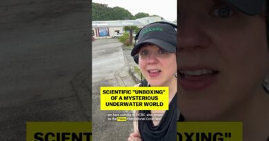 Scientific “unboxing” of a mysterious underwater world