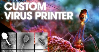Scientists Custom Print 16 Never-Before-Seen Real-World Viruses