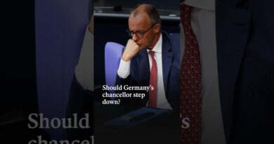 Should Germany’s chancellor step down? | The Economist