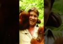 Steve Irwin: A Wild Life | Sneak Peek