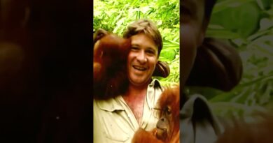 Steve Irwin: A Wild Life | Sneak Peek