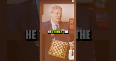 The Best AI Investor Won’t Be a Machine