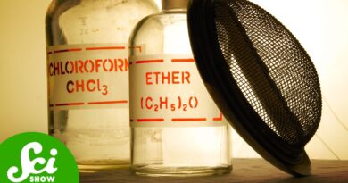 The Con Man Who Invented Anesthesia
