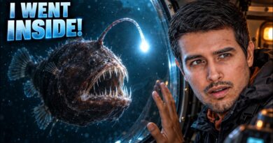 The Hunt for DEEP SEA Monsters | What did we find? | Dhruv Rathee