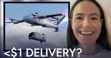 We Ordered A Zipline Drone Delivery. Here’s Our Thoughts
