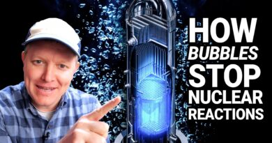 What Happens in a Nuclear Reactor Core? – Smarter Every Day 317
