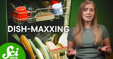 You’re Washing Your Dishes Wrong