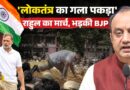 ‘फर्जी वोटरों को बचा किसे फायदा कर रही कांग्रेस?’, SIR पर Sudhanshu Trivedi का Rahul Gandhi पर हमला