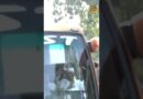 राहुल गांधी और खड़गे बस में सवार, सुप्रीम कोर्ट की ओर रवाना
