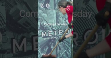 A New Podcast: METRO with Sarah Koenig