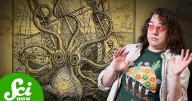 Ancient Octopuses Were MUCH Bigger Than We Thought