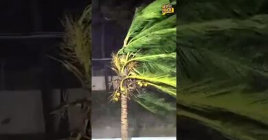 Andhra Pradesh में Arnab Cyclone का कहर, 3 की मौत, 50 ट्रेनें-21 फ्लाइट रद्द, Bihar-UP में भी असर