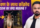 Cockroach दहन क्यों? Modi, Shah, Priyanka ने रावण कैसे जलाया? Yusuf ने पार्टी बदली तो Gift मिला?