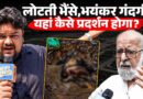 Delhi Protest Sites Exposed! News Pinch को नई Protest Sites में दिखा भैंस, कचरा! जवाब देगी सरकार?